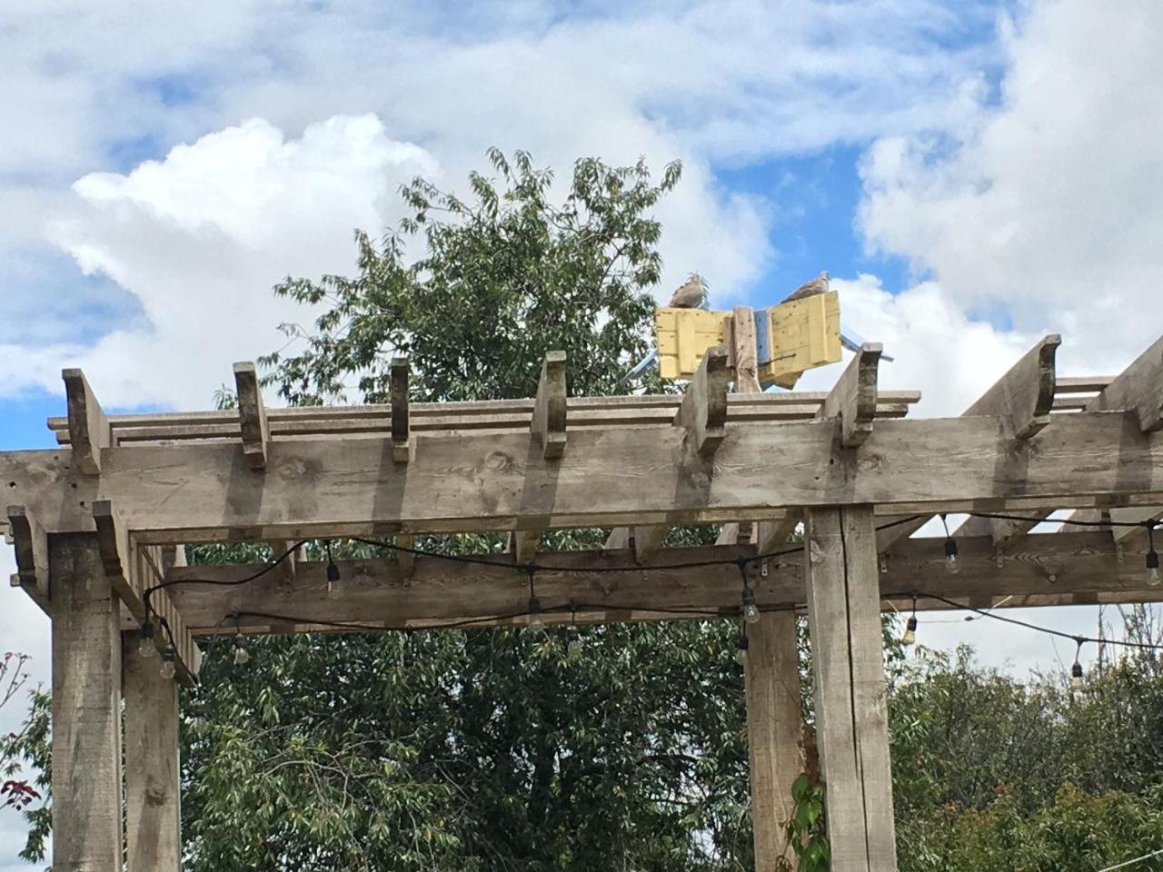 Hotel Quinta San Antonio Nopalucan de la Granja Kültér fotó