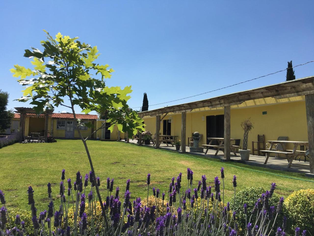 Hotel Quinta San Antonio Nopalucan de la Granja Kültér fotó
