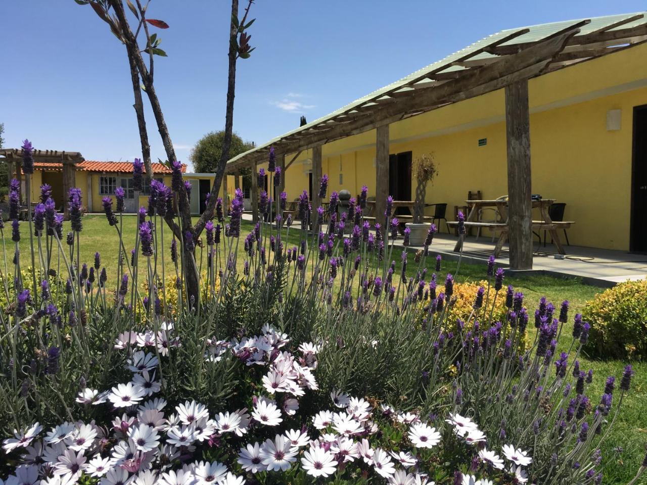 Hotel Quinta San Antonio Nopalucan de la Granja Kültér fotó